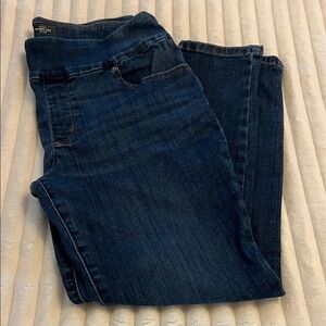 Lee Women's Deep Indigo Skinny Jeans